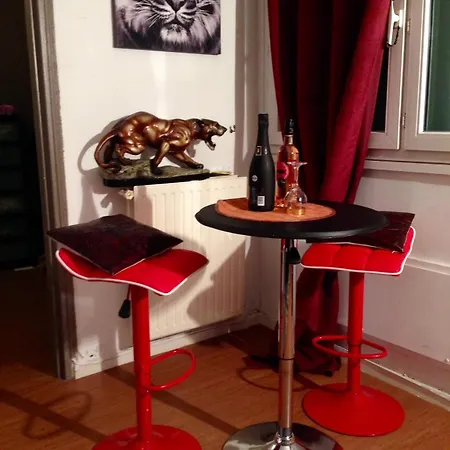 Superbe Chic Centre Apartment *